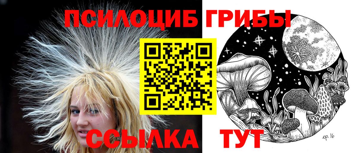 Магадан  Псилоцибиновые грибы мицелий  Вход с VPN 